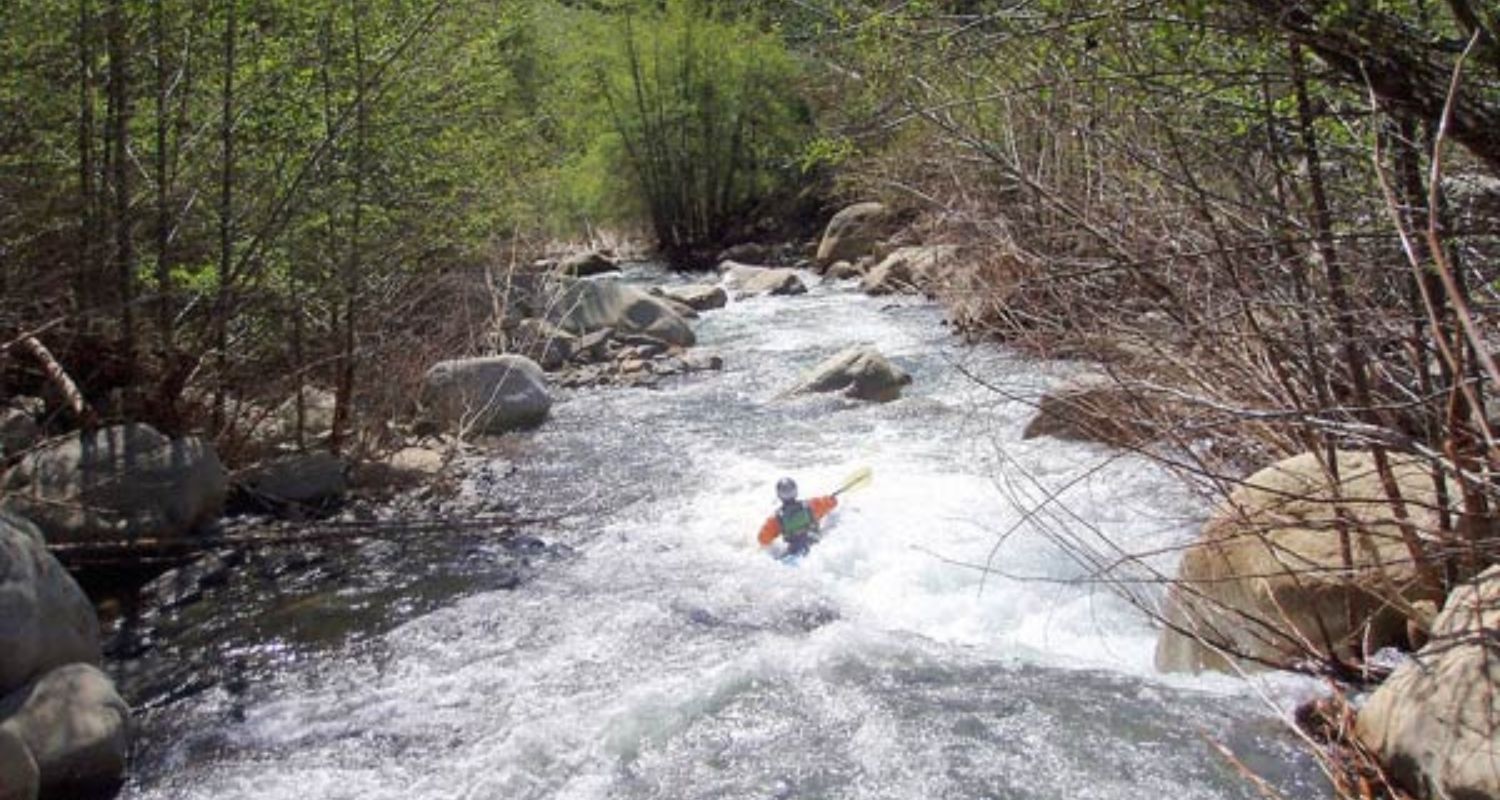 Tragedy Strikes When Siblings, Ages 2 and 4, Perish in a Southern California Creek