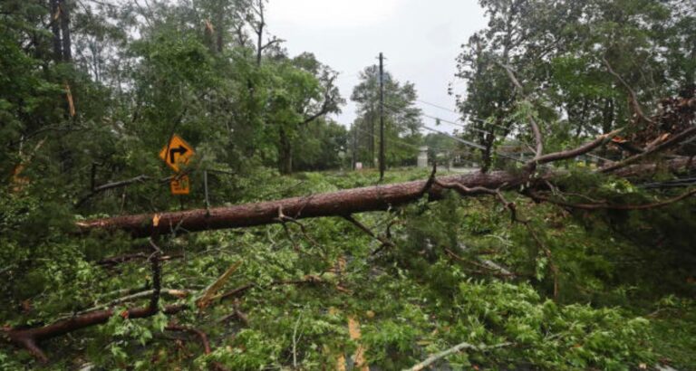 When Nature Strikes: Tallahassee's MagLab and FSU Campus Hit by Severe Storms